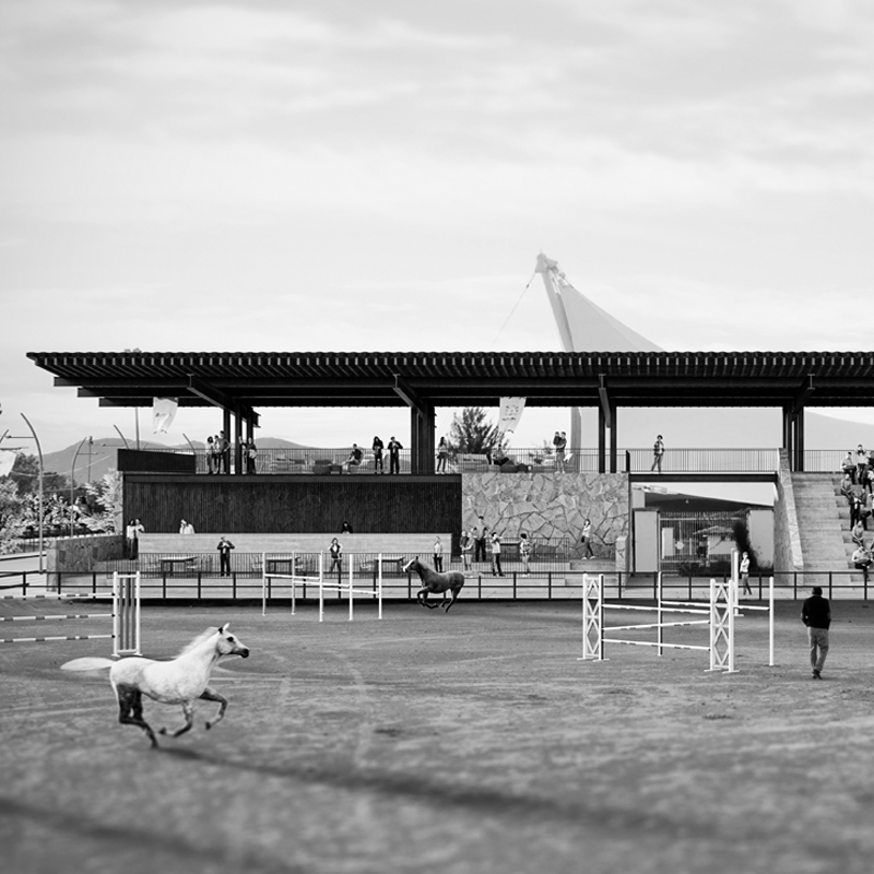 Project: Hípico Isla San Marcos